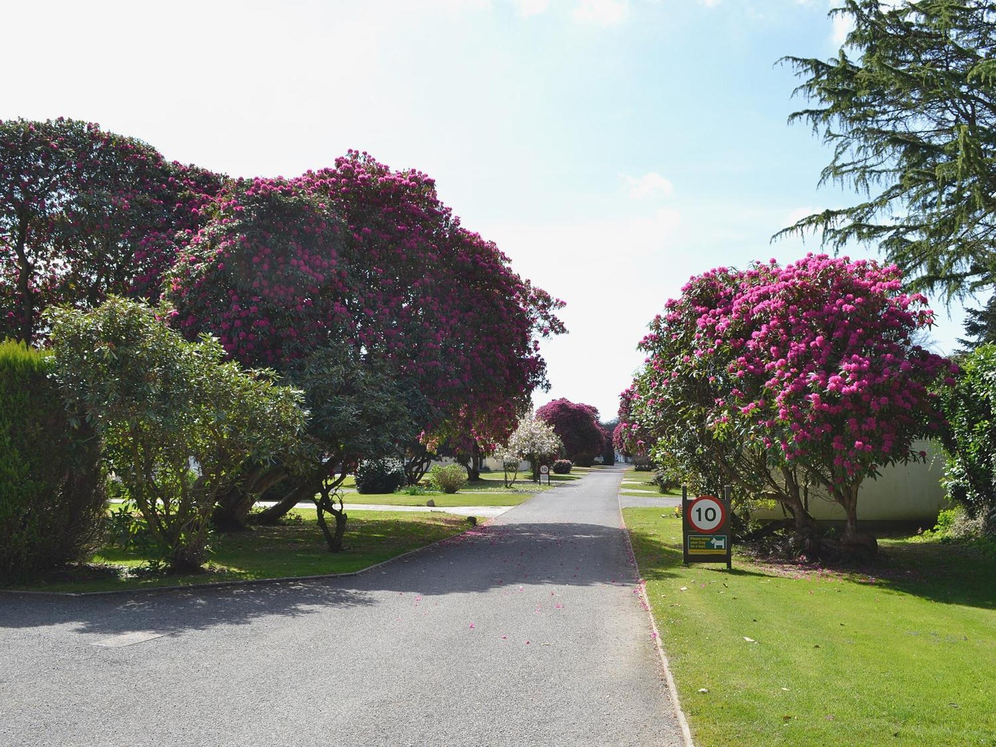 Villa Tresco - B6520 Saint Cleer Esterno foto